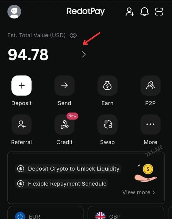 Redot Pay Balance