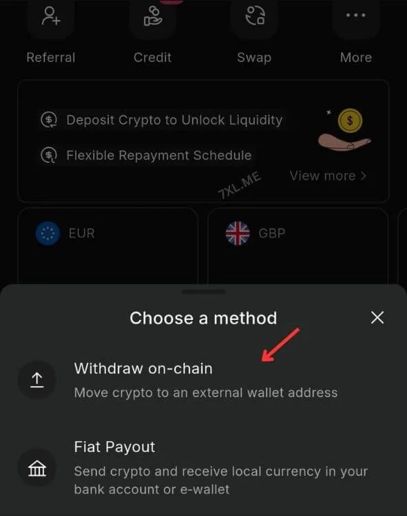 Redot Pay Withdraw on chain to 7XL